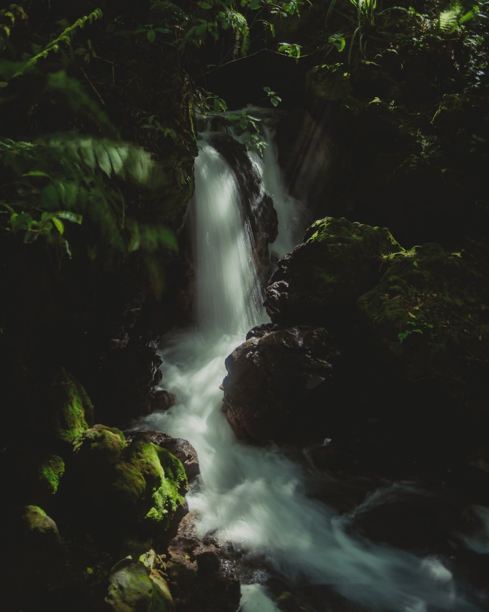 Una cascada cayendo a través de una selva oscura